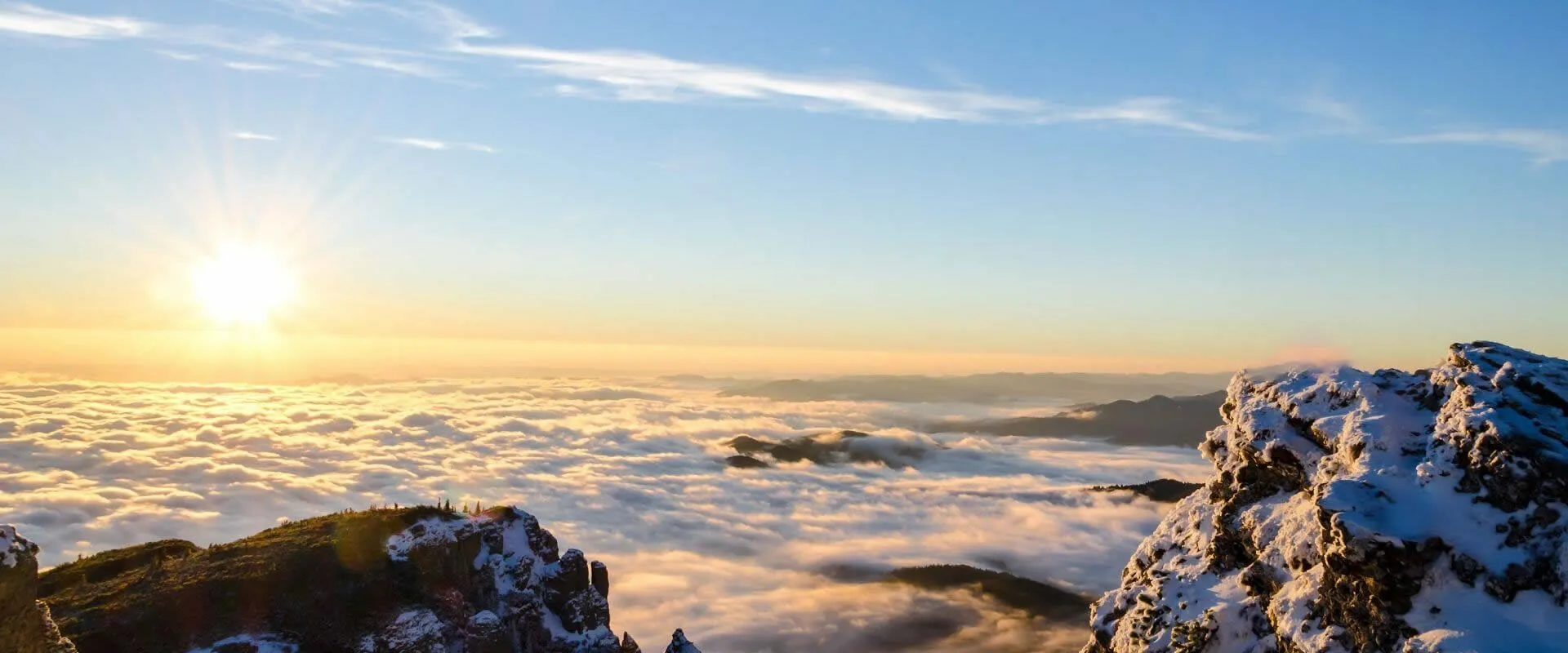 Adept and skilled in their profession.