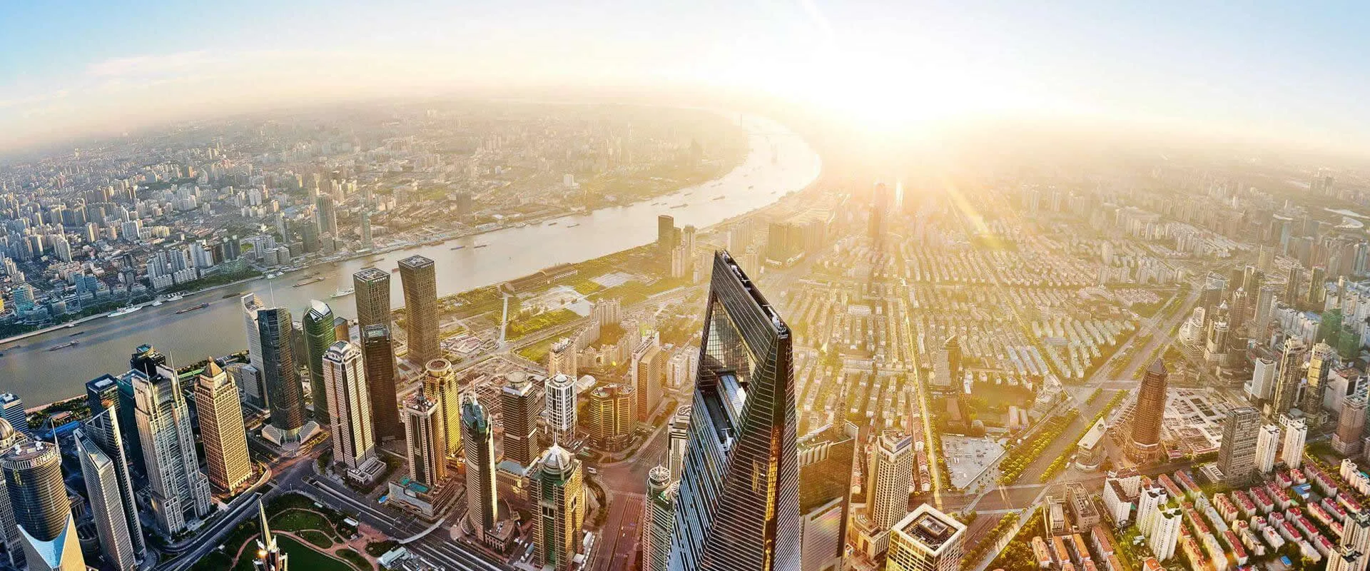 Adept and skilled in their profession.